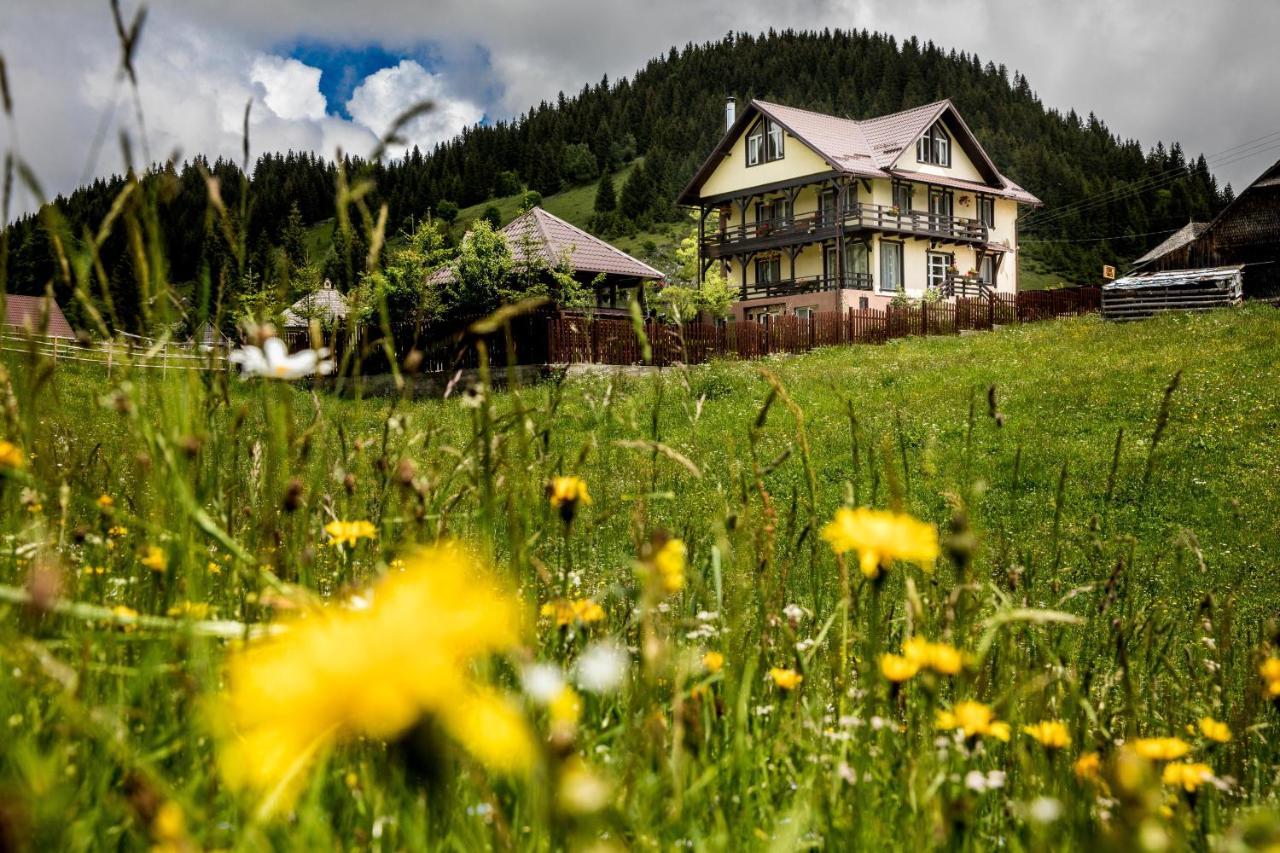 Casa Cerbul Villa Fundata Luaran gambar