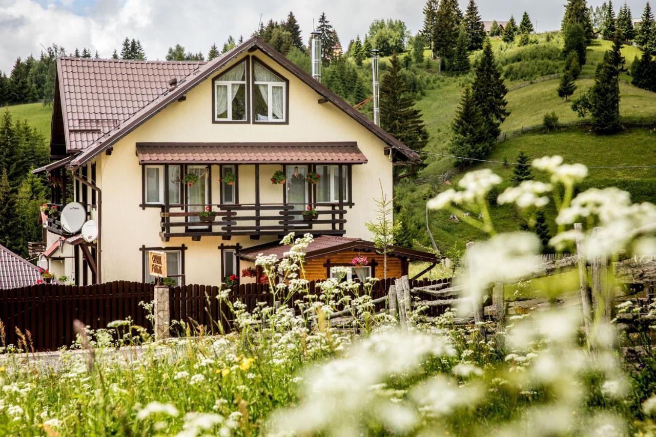Casa Cerbul Villa Fundata Luaran gambar