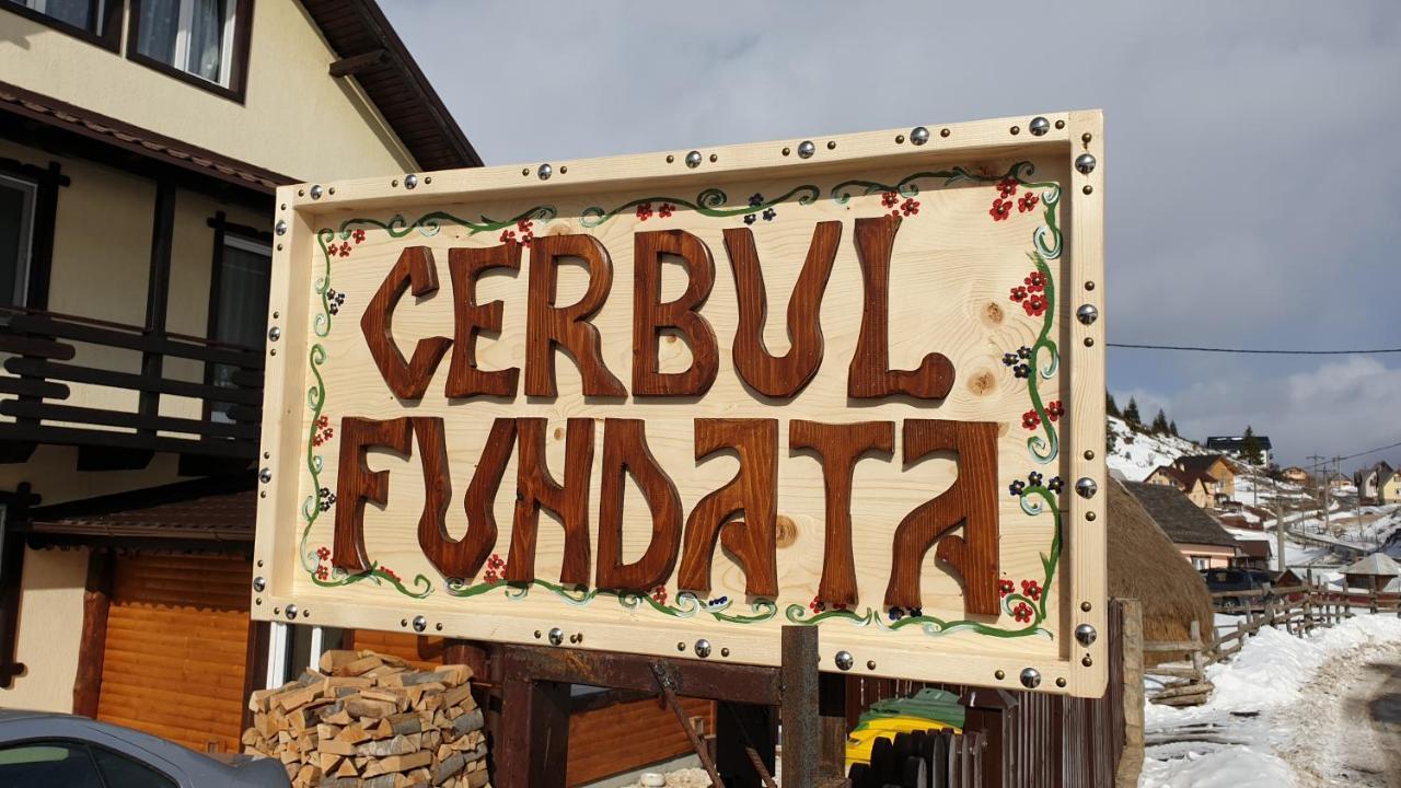 Casa Cerbul Villa Fundata Luaran gambar